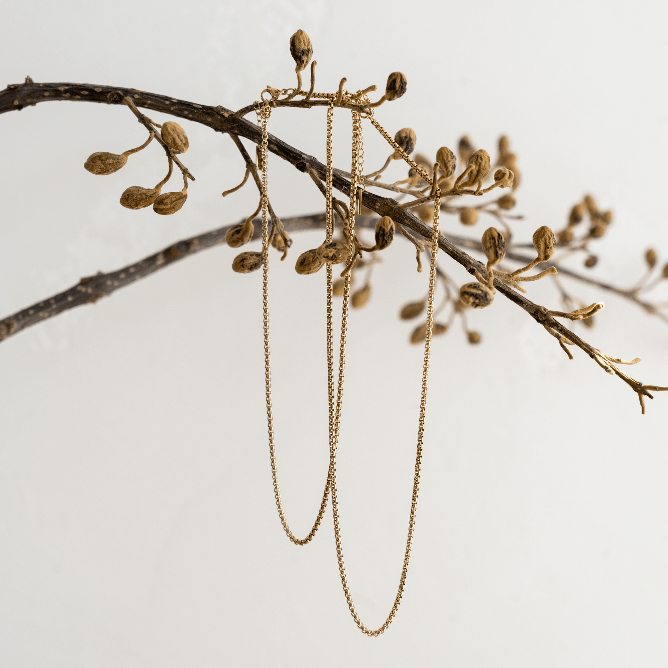 Essential Chain Necklace - Gold - Chain Necklace, Gold, mens, mens necklace - Ocean Girl Art